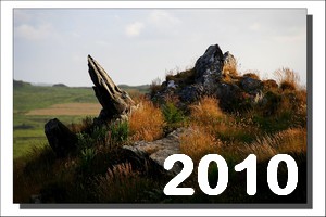 Sommaire 2010