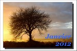 Janvier 2012