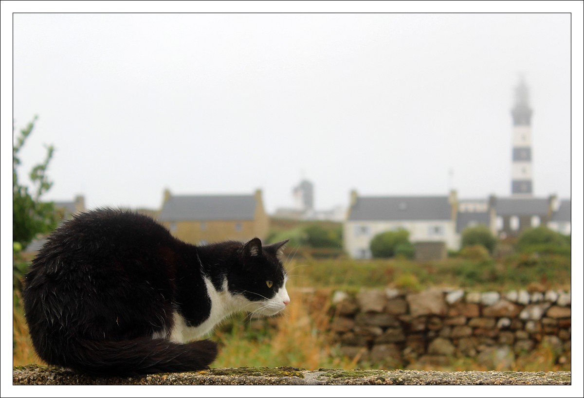 Ouessant, 7 Octobre 2012