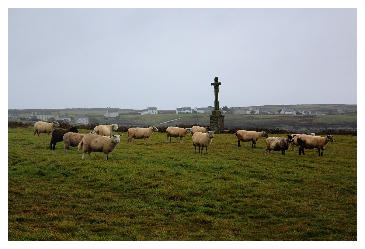 Ouessant, 7 Octobre 2012