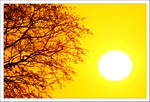 Octobre 2012