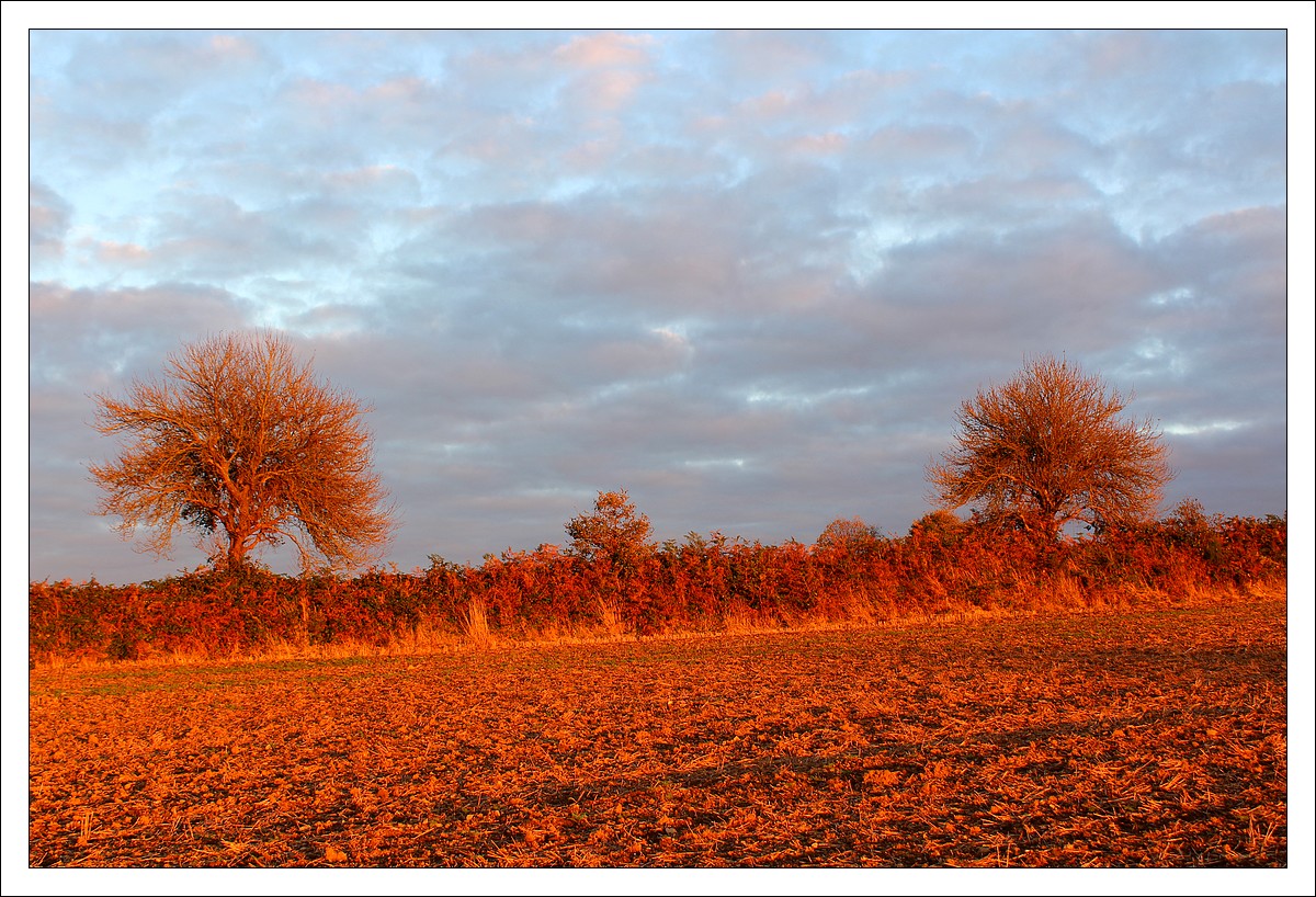 Octobre rouge : le jour d'Halloween