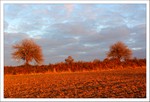 Octobre 2012