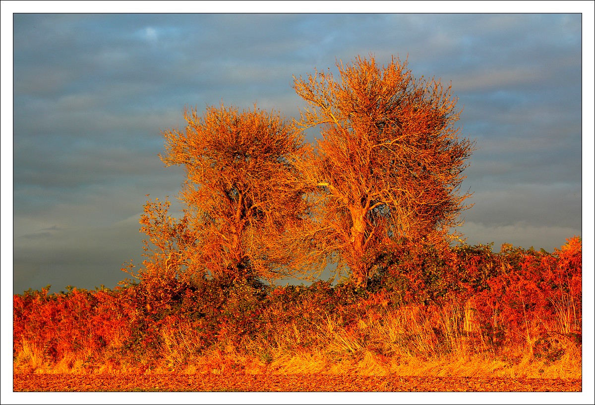 Octobre rouge : le jour d'Halloween