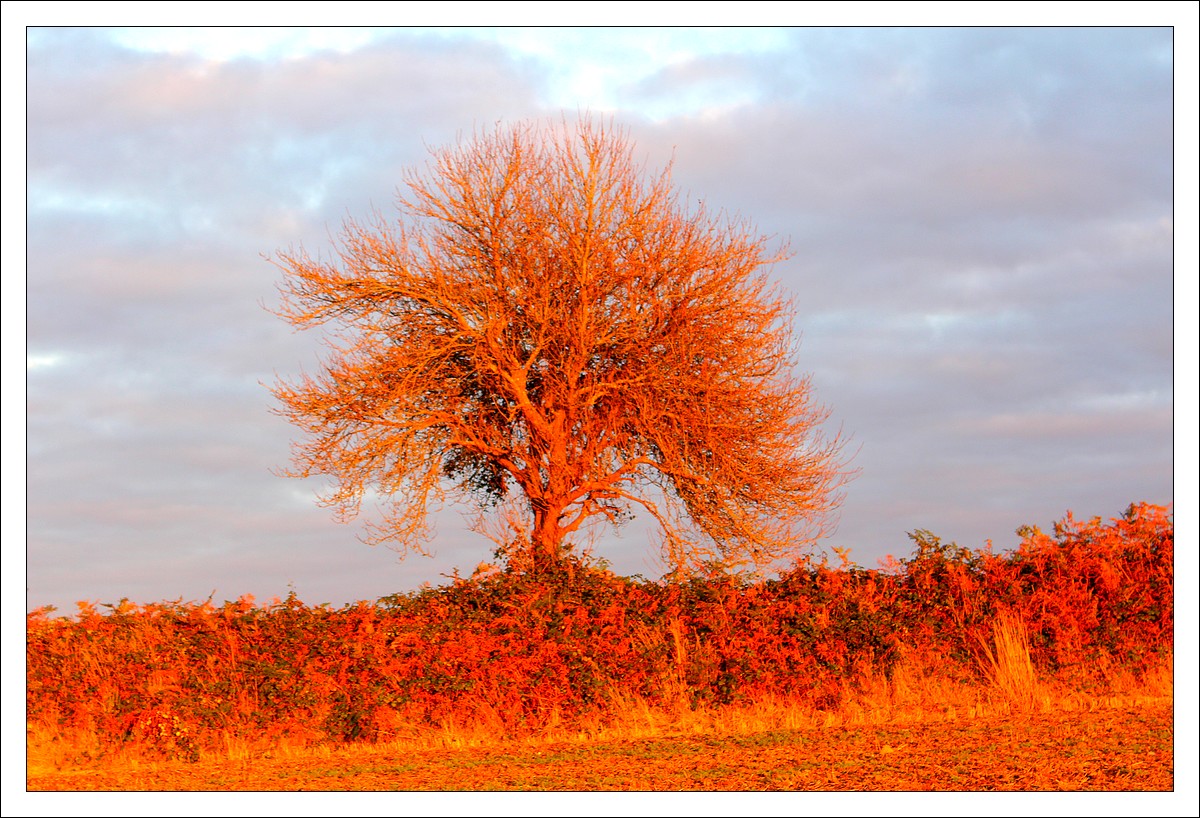 Octobre rouge : le jour d'Halloween