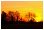 Décembre 2012