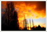 Décembre 2012
