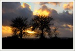 Décembre 2012