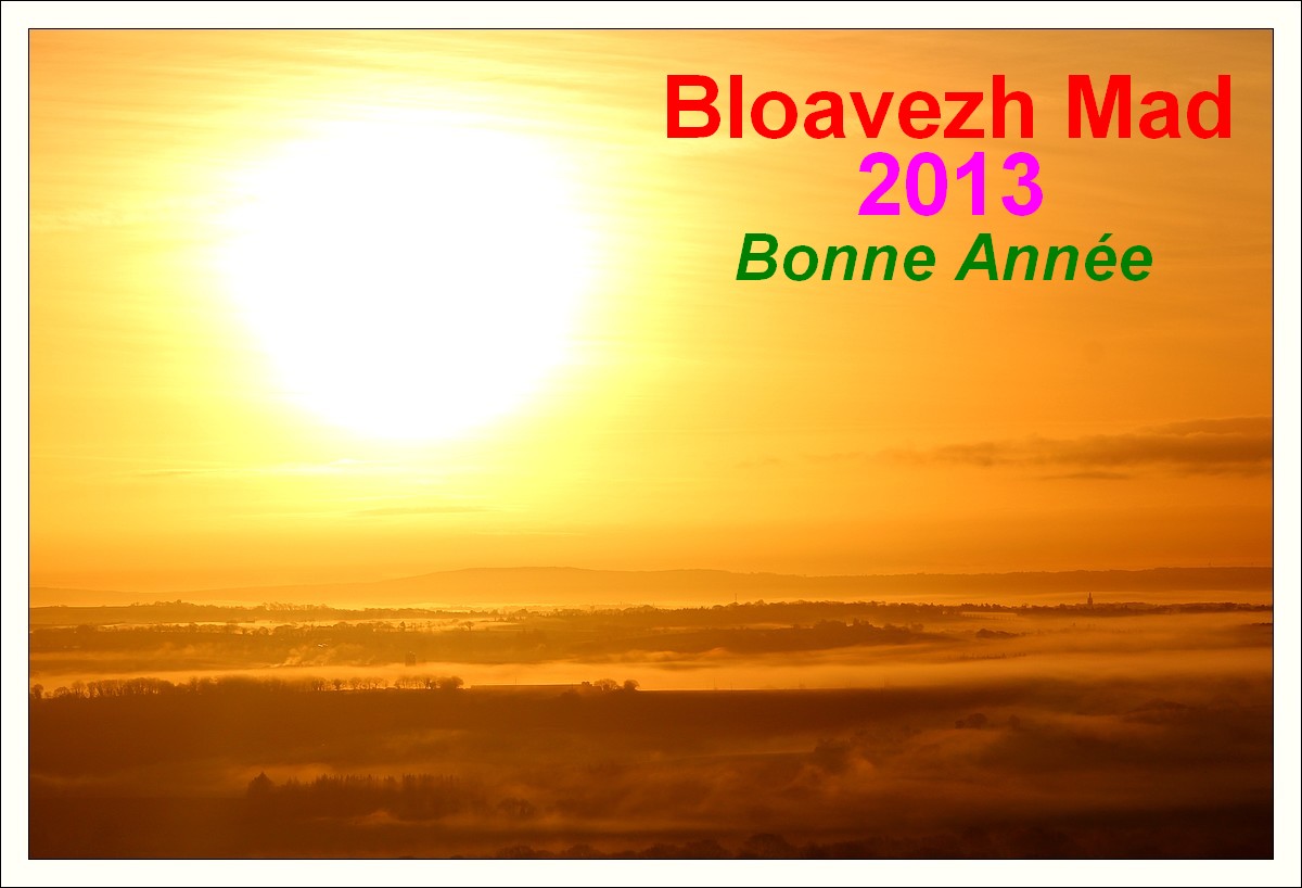 Bloavezh Mad - Bonne Année 2013