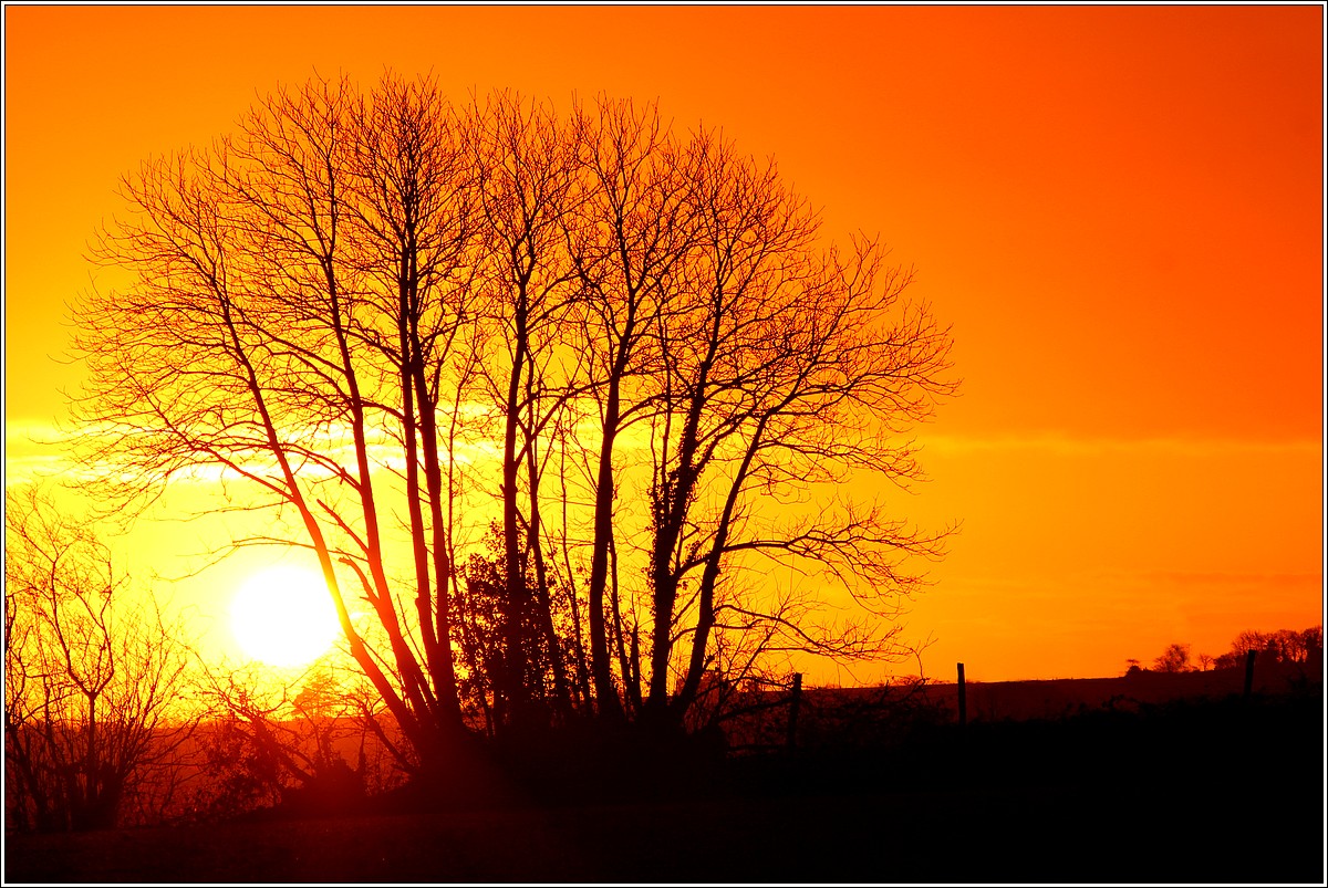 Lopérec - Lever de Soleil - Mardi 1er Janvier 2013