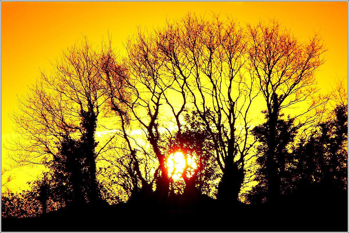 Lopérec, Lever de soleil sur les haies
