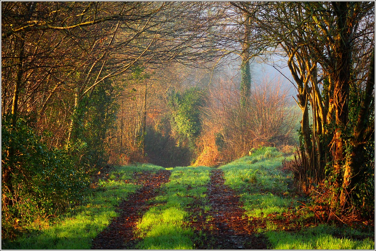 Lever de Soleil sur la Campagne Lopérécoise
