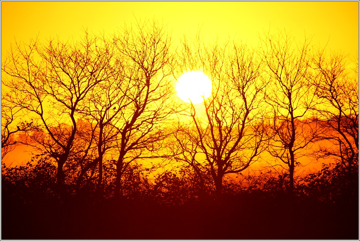 Lever de Soleil sur la Campagne Lopérécoise