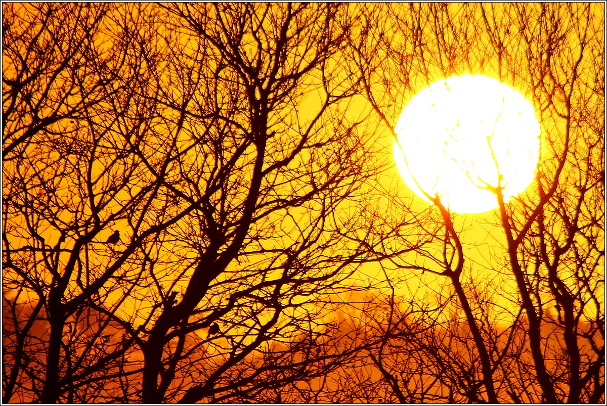 Lever de Soleil sur la Campagne Lopérécoise