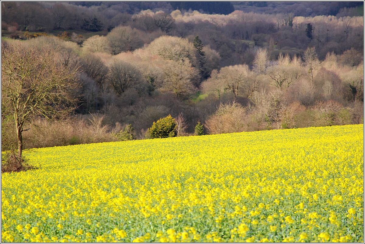 Lueur de Printemps sur Lopérec