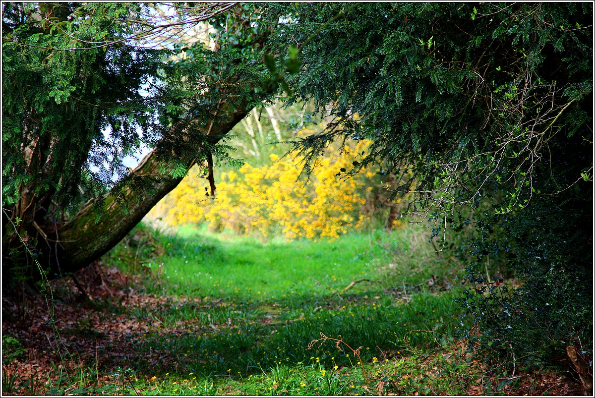 Lueur de Printemps sur Lopérec