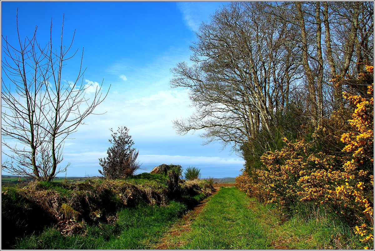 Couleurs de Printemps