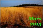 Mars 2013
