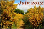 Juin 2013