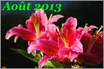 Août 2013