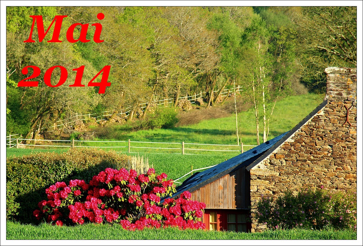 Mai 2014