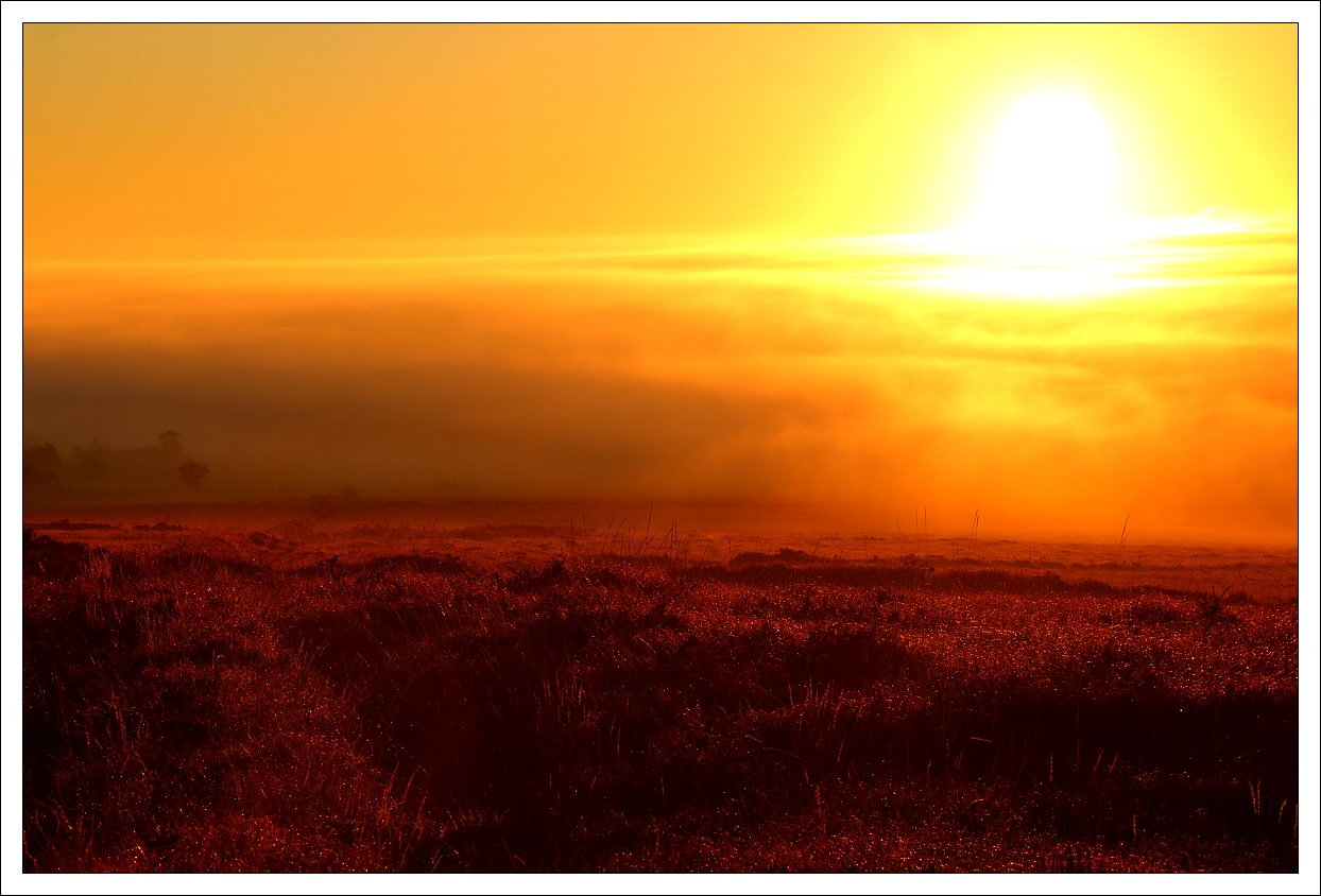 Sur les Monts d'Arrée - Bumes au soleil levant - Menez-Mikel