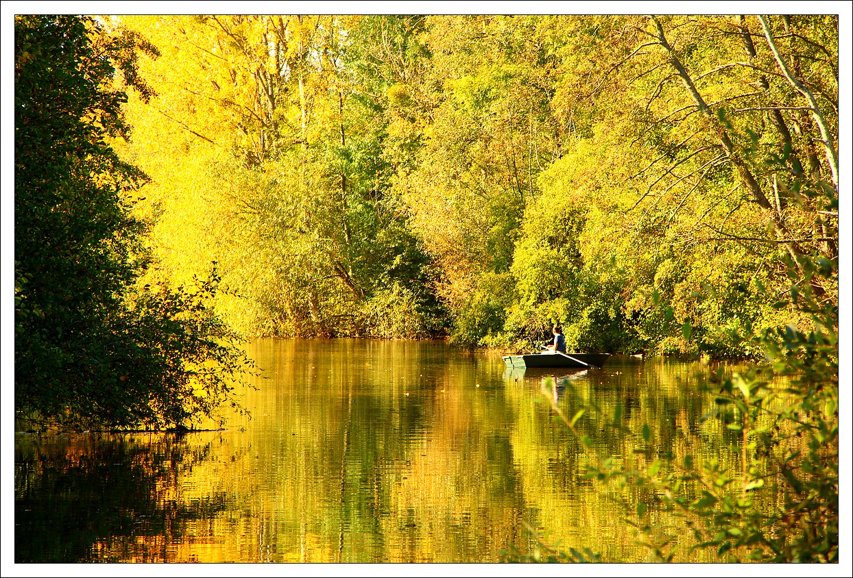 Sarthe