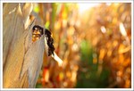 Octobre 2014