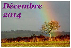 2014