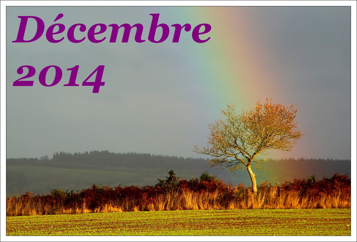 décembre 2014