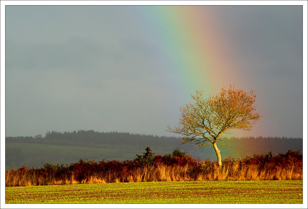 Lopérec, Arc-En-Ciel