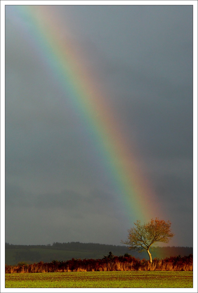 Lopérec, Arc-En-Ciel