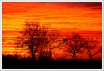 Décembre 2014