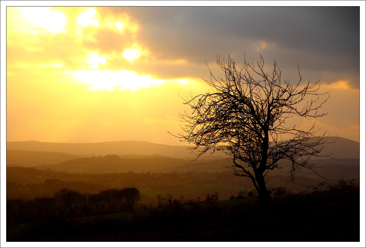 Loperec
