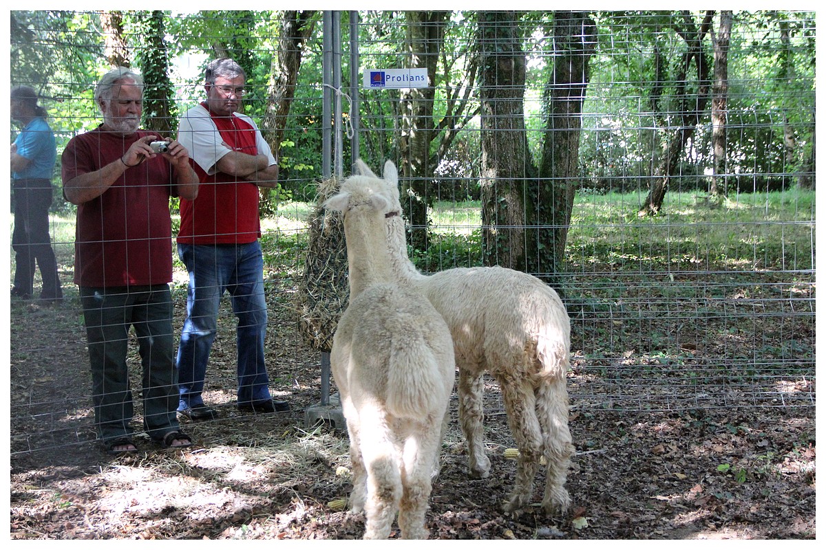 Loprec - Fte du Village 2015 - Fte Bretonne - Dimanche 6 Septembre 2015
