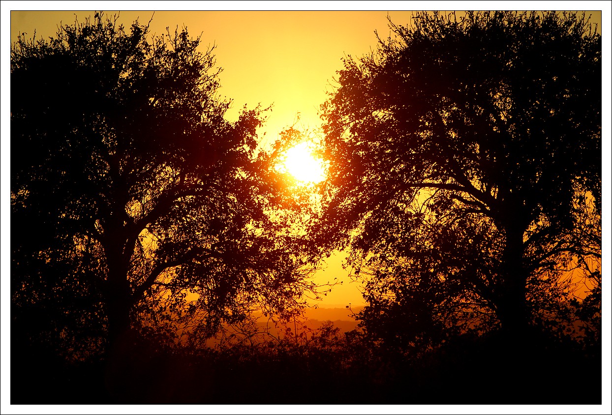 Loprec Coucher de Soleil