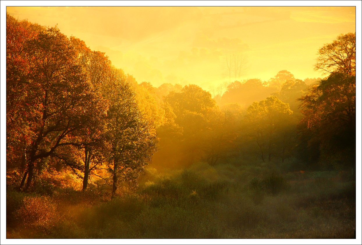 Les couleurs de l'Aube...