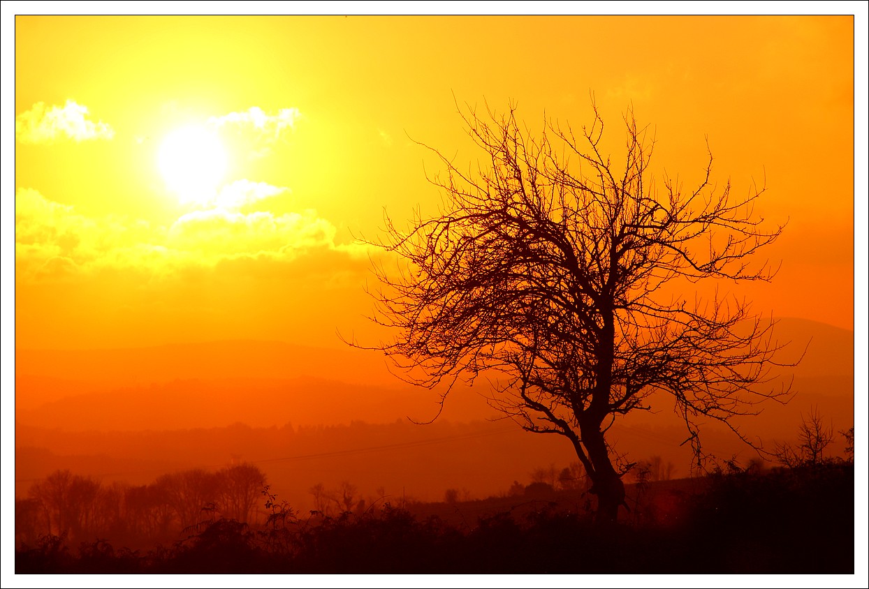 Loprec au coucher du soleil