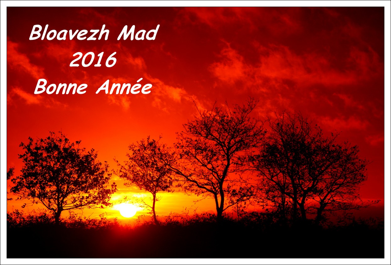 Bloavezh Mad 2016 Bonne Anne
