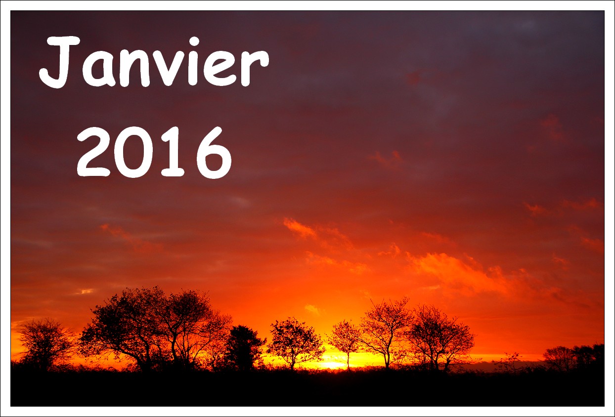 Janvier 2016