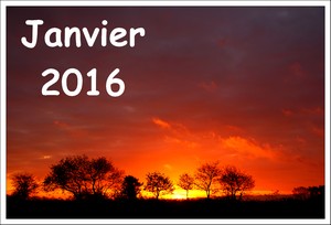 Janvier 2016
