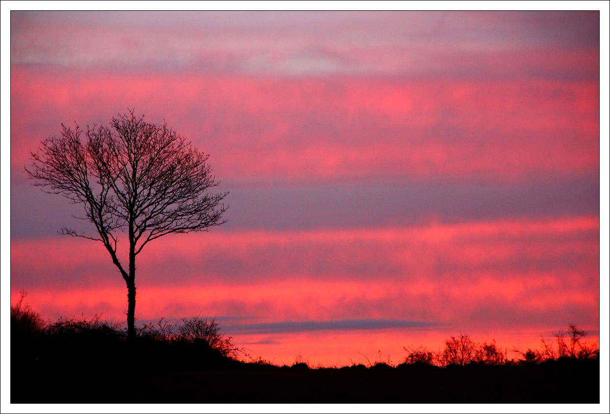 Loprec, A l'aube...