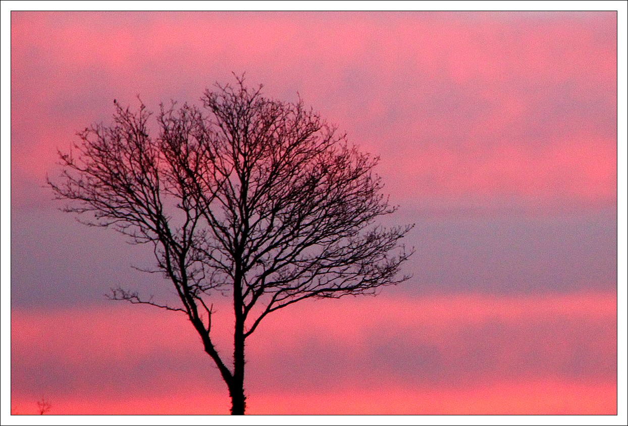 Loprec, A l'aube...