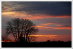 Janvier 2016