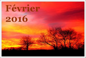 Fvrier 2016