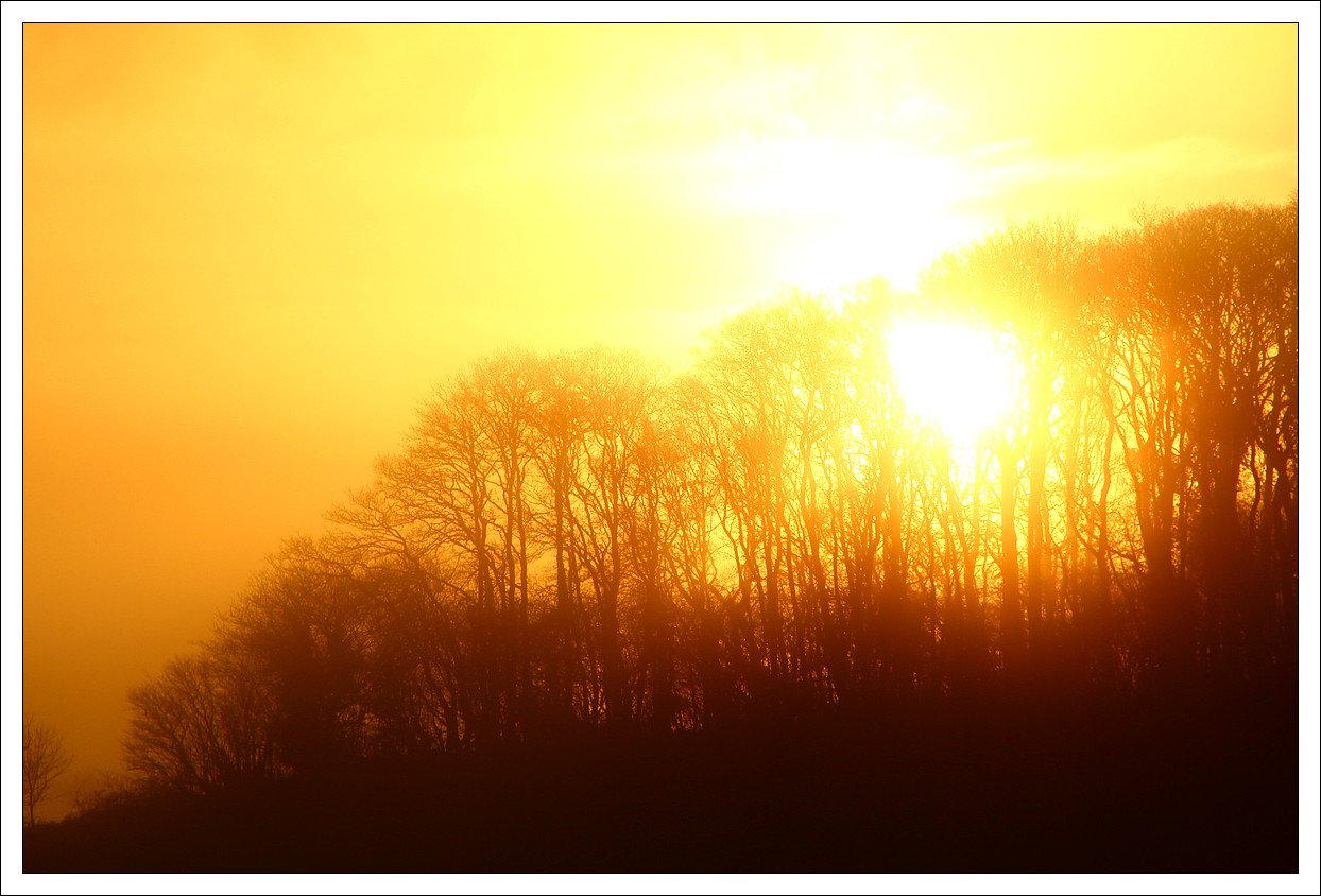 Brumes matinales - Loprec