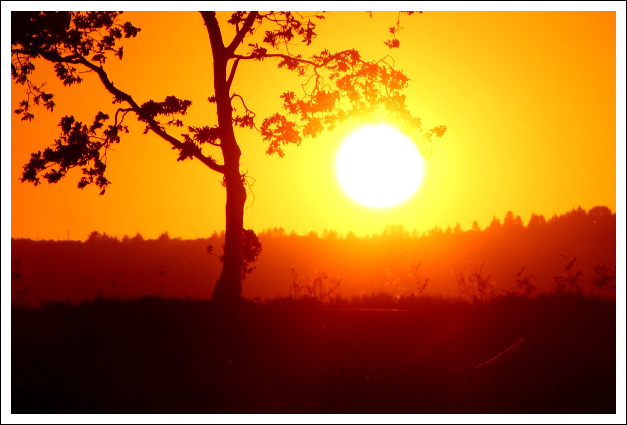 Coucher de Soleil - Loprec