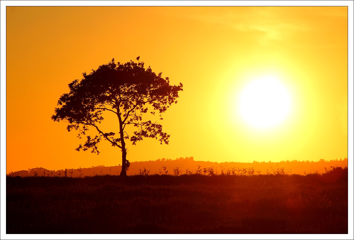 Loprec - Coucher de Soleil