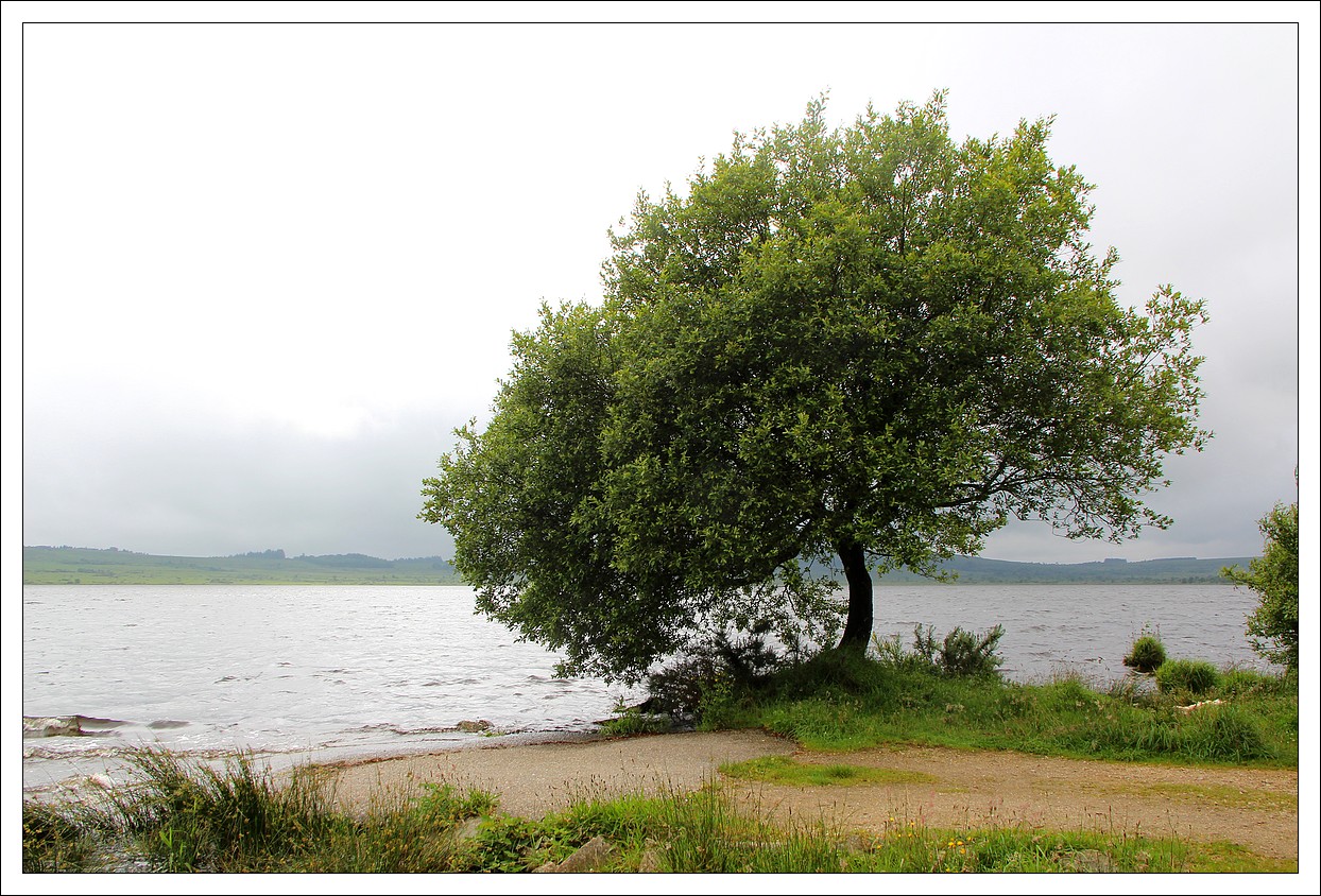 Lac de Brennilis - Botmeur