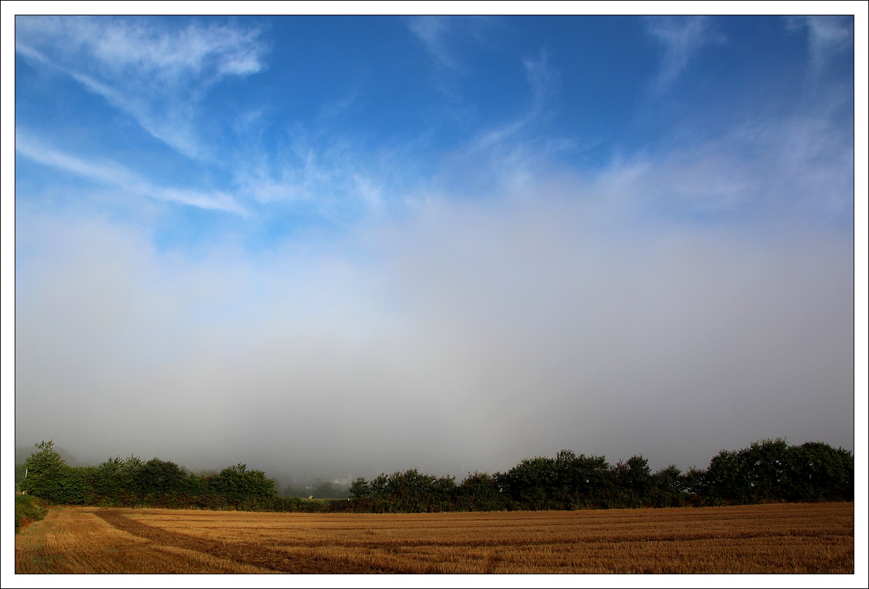 Loprec Brumes matinales